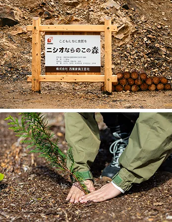ニシオならのこの森