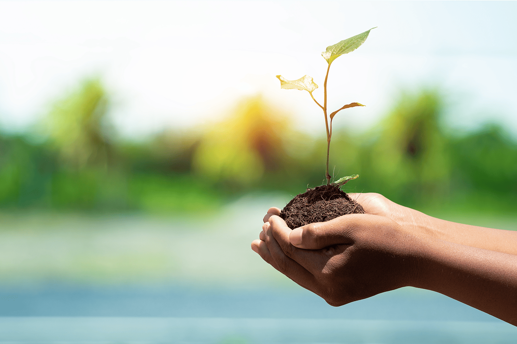 CSR 私たちの取り組み